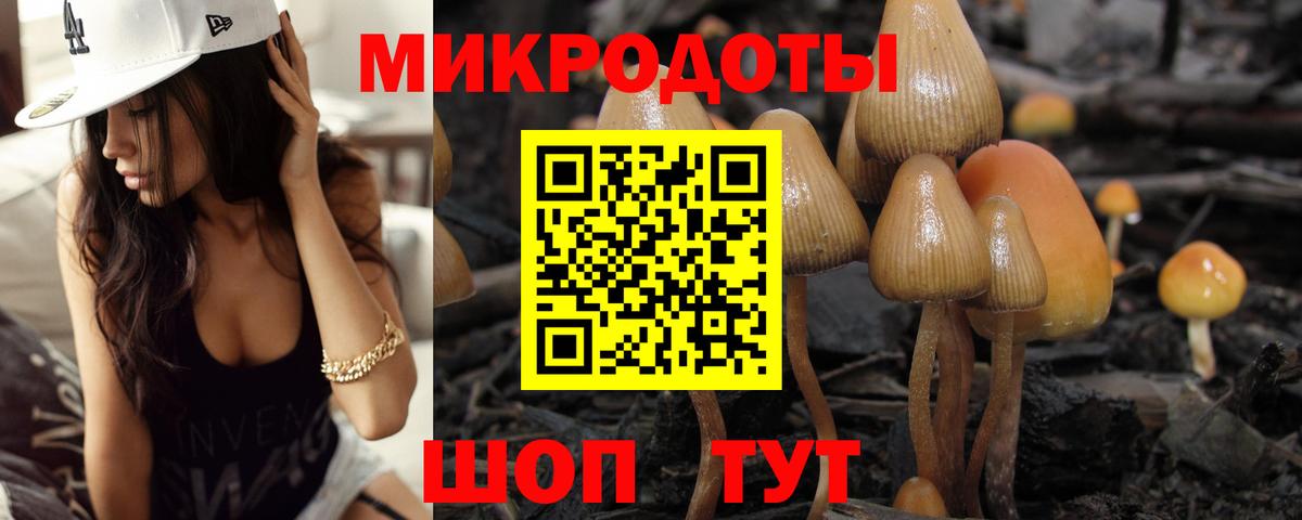 Костомукша  Псилоцибиновые грибы Psilocybe  Вход с VPN 