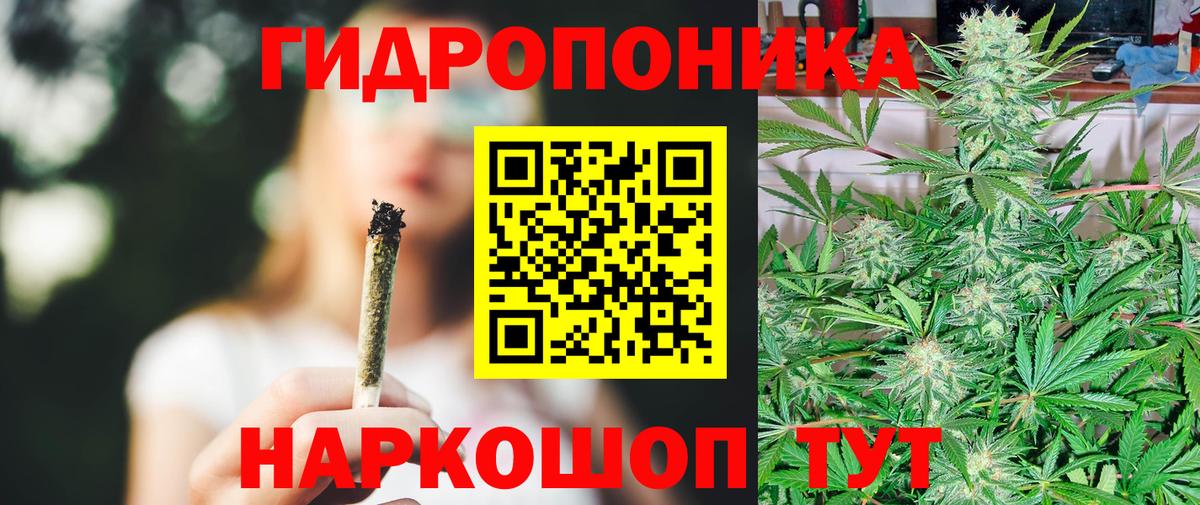 Бошки марихуана OG Kush Костомукша